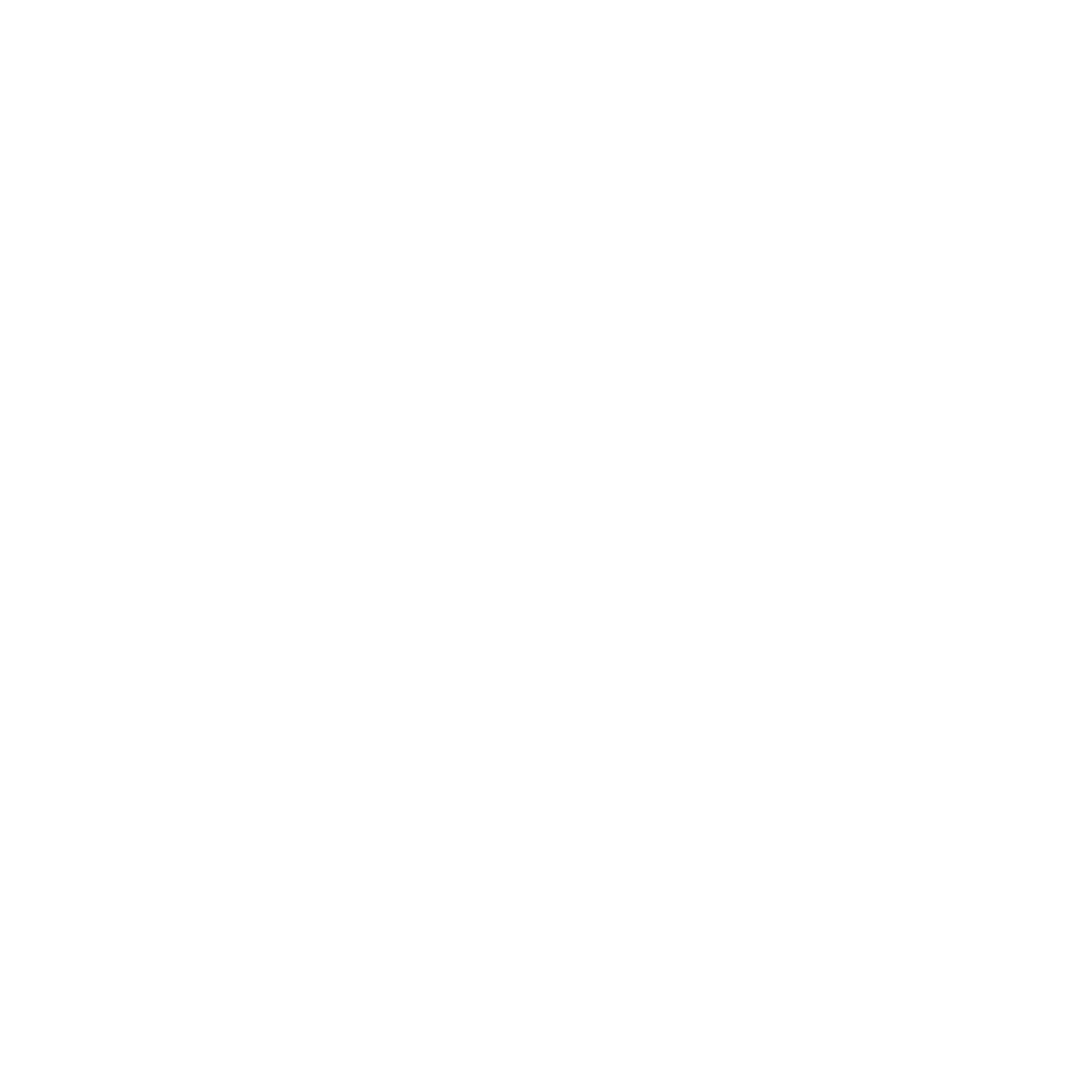 Logo SLE Company